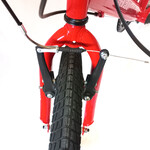 Bicicleta Fire Bird Mtb R20 3Vel.varon F.vb.roja 19070